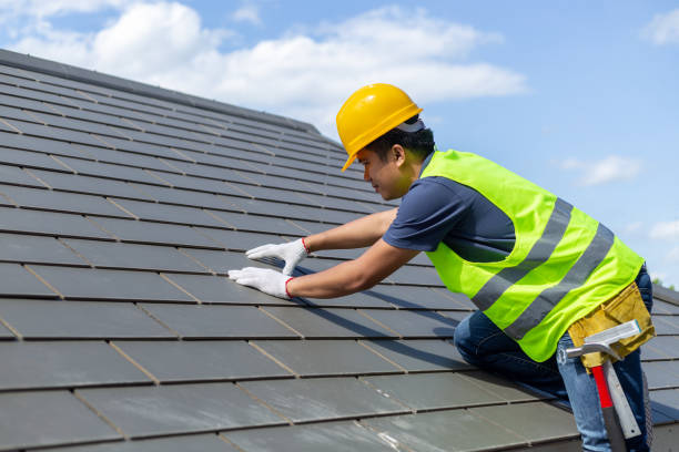 Best Storm Damage Roof Repair  in Coalfield, TN