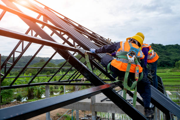 Best Flat Roof Repair Services  in Coalfield, TN