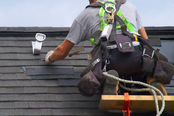 Best Storm Damage Roof Repair  in Coalfield, TN