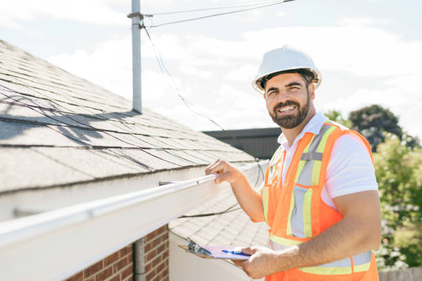 Best Roof Gutter Cleaning  in Coalfield, TN