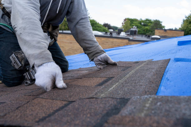 Best Roof Leak Repair  in Coalfield, TN