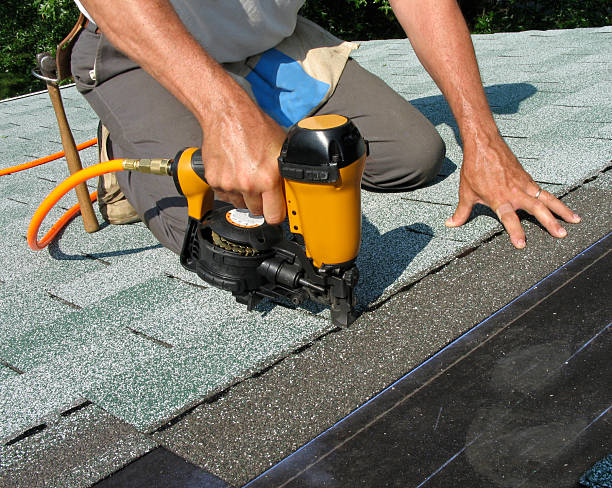 Best Shingle Roofing Installation  in Coalfield, TN