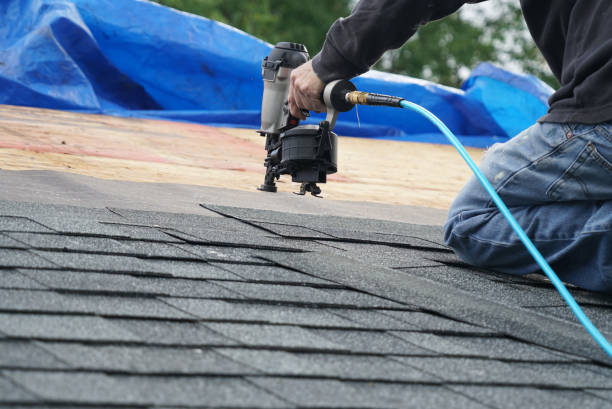 Best Local Roofing Companies  in Coalfield, TN