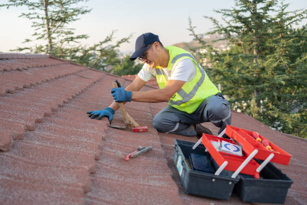 Best Roof Waterproofing Services  in Coalfield, TN