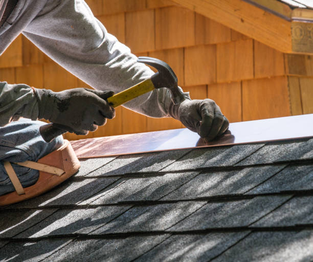 Best Best Roofing Contractors  in Coalfield, TN